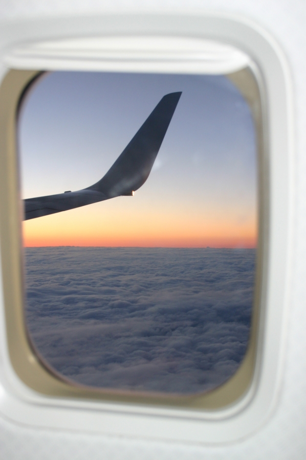How to charter a plane window view of the Wing